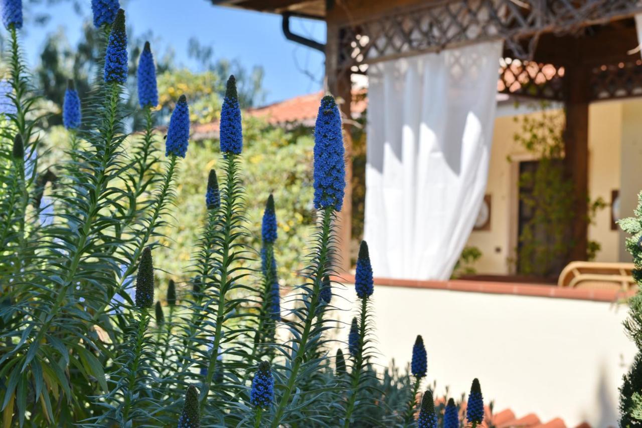 Villa Tina Santa Maria di Castellabate Exteriör bild